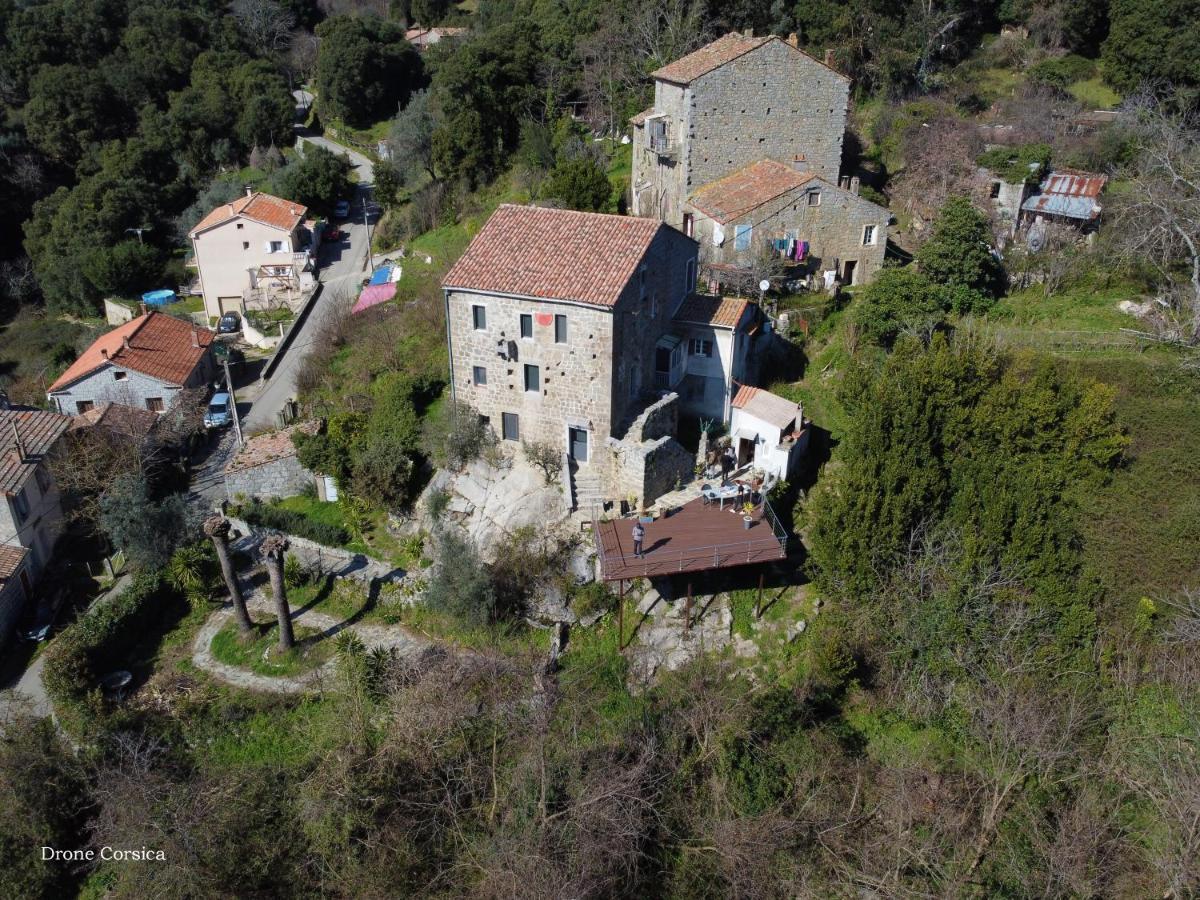 Casa Giacometti Grosseto-Prugna Ngoại thất bức ảnh