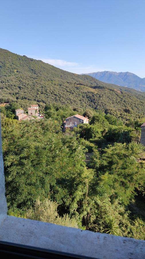 Casa Giacometti Grosseto-Prugna Ngoại thất bức ảnh