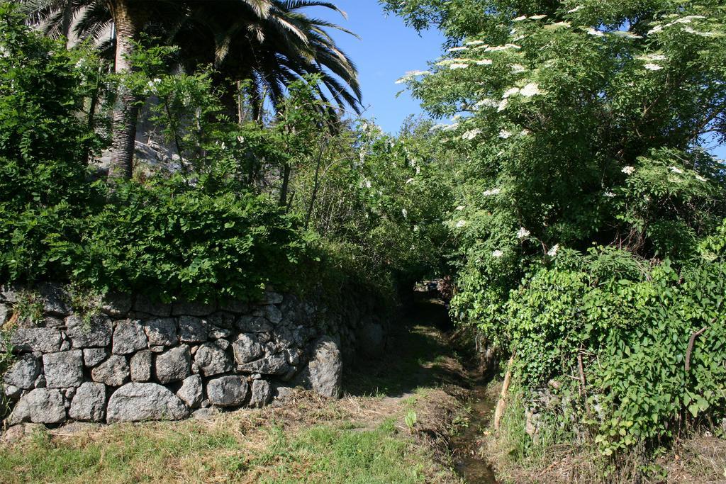 Casa Giacometti Grosseto-Prugna Phòng bức ảnh
